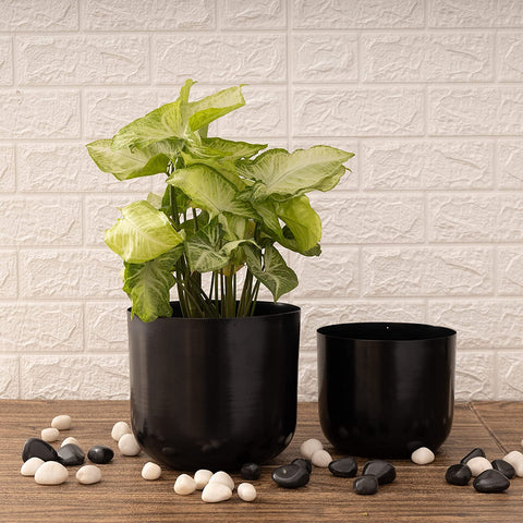 Luxe Black Planters